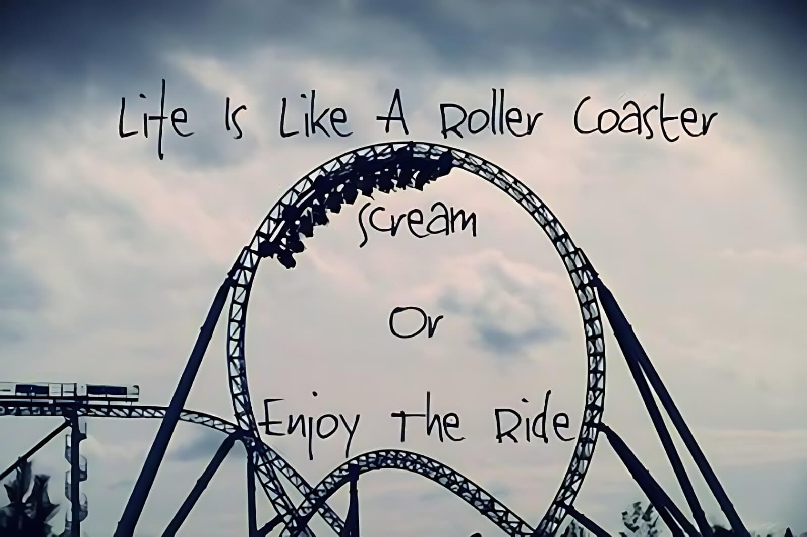 Life is like a roller-coaster ride